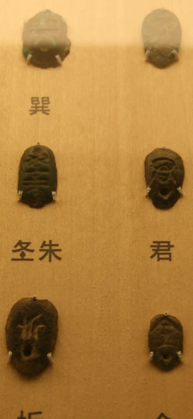 Small oval bronze ant-nose coins from the state of Chu, shaped like cowrie shells with raised inscriptions