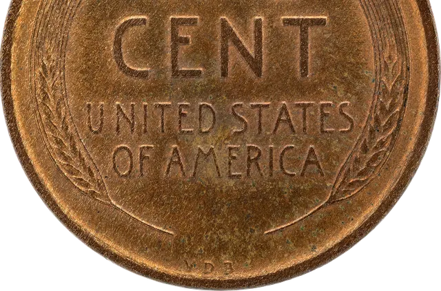 Close-up of the wheat ears and lettering on the reverse of a 1909 Lincoln cent