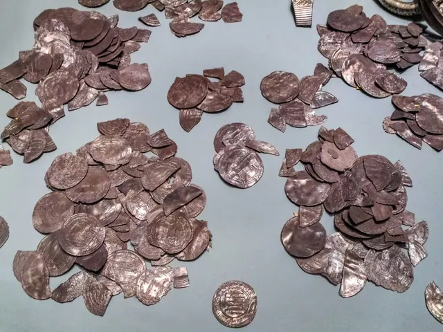 Piles of Islamic silver dirhams, many cut or broken, from the Viking-age Spillings hoard, on display at Gotland Museum in Visby