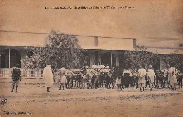 Old postcard of men loading crates of Maria Theresa thalers onto donkeys at Dire Dawa for the trip to Harar