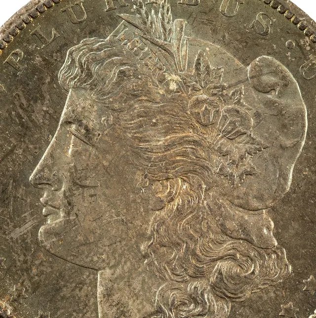 Close-up of the 1878-CC Morgan dollar's front: Liberty's head in profile, modelled on Anna Willess Williams